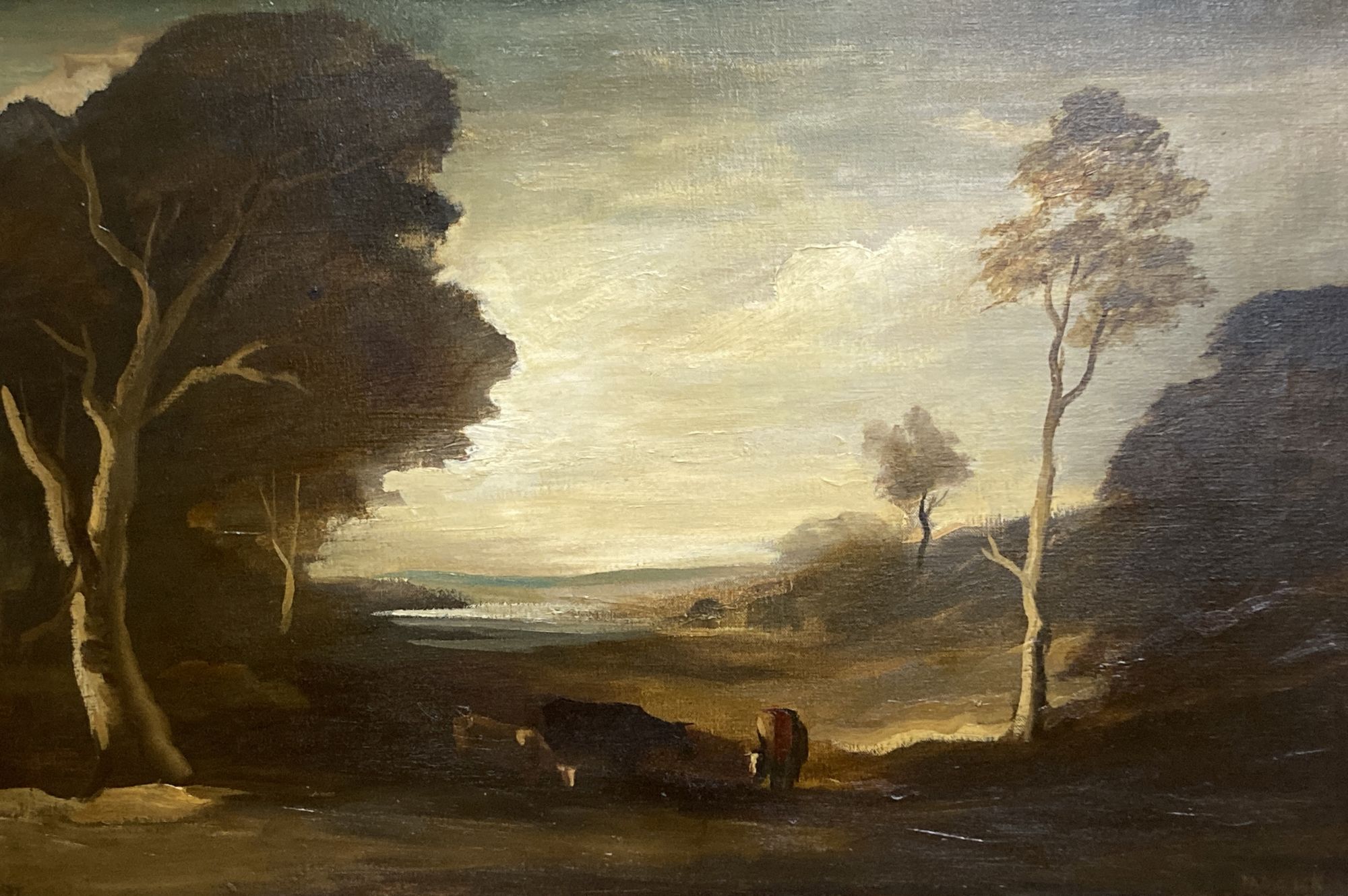 Philip Hugh Padwick (1876-1958), oil on canvas, Cattle and trees in a landscape, 60 x 91cm
